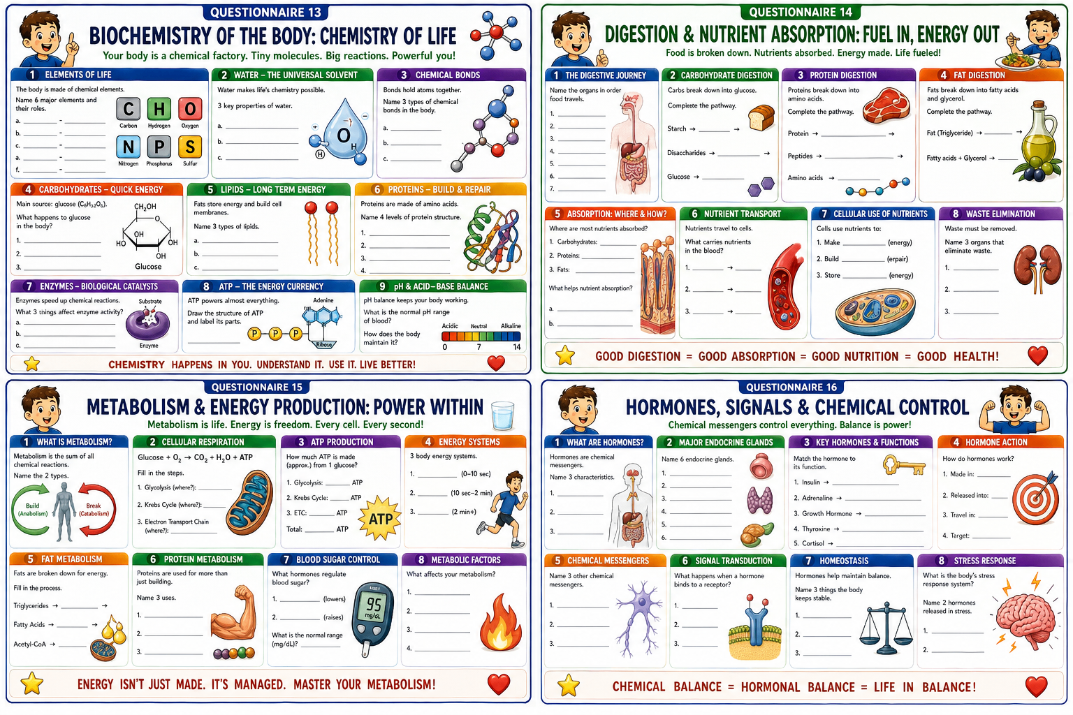 Page 26: Workbook: Questionnaires 13–16