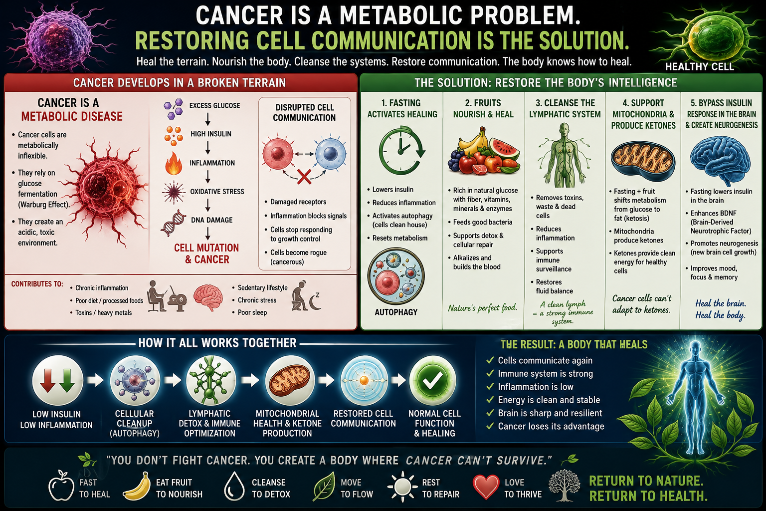 Cancer is a metabolic problem — restoring cell communication is the solution